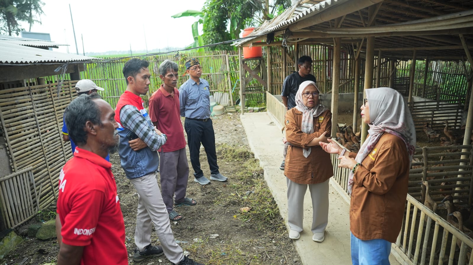 Tingkatkan Kapasitas, Pertamina Patra Niaga Kilang Cilacap Berikan Pelatihan Manajemen Pemeliharaan Itik Berbasis Good Farming Practice